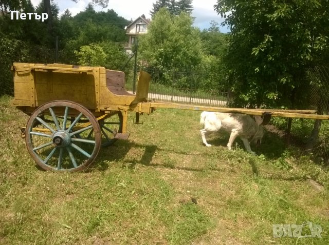Автентична стара двуколка , снимка 3 - Други - 25684701