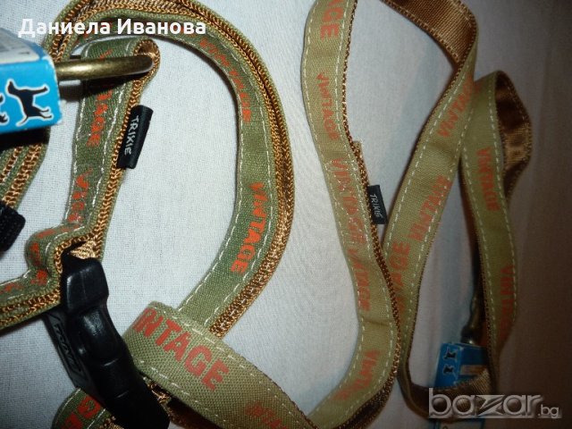 Нашийници за куче - различни размери,цветове, снимка 12 - За кучета - 19247526