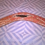 Throuwing boomerang hand crafted in australia-35/5см-внос швеицария, снимка 2 - Антикварни и старинни предмети - 15649362