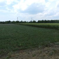 Земеделска земя на републикански път I-9 и кръстовище - Балчик , снимка 6 - Земеделска земя - 22401066