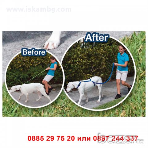 Нагръдник повод за куче Instant trainer, снимка 2 - За кучета - 12979267