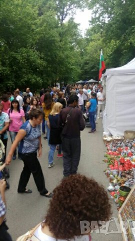 Екстракт Бабини зъби, снимка 10 - Домашни продукти - 21635556