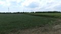 Земеделска земя на републикански път I-9 и кръстовище - Балчик , снимка 6