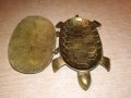 антика костенурка-ретро колекция-мед/месинг-внос франция, снимка 5