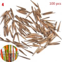 100 броя бамбукови семена от Декоративен бамбук Moso Bamboo лилав зелен цветен , снимка 6 - Сортови семена и луковици - 23954889