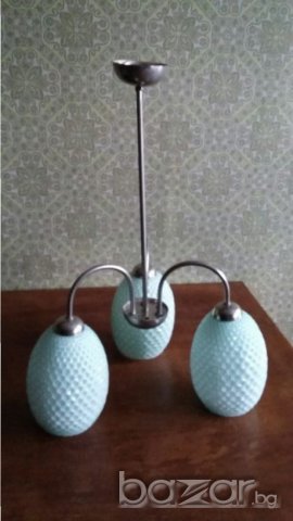 Полилей четри вида, снимка 3 - Полилеи - 15804371