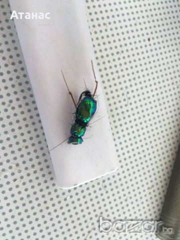 изкуствени мухи за риболов на кефал, снимка 9 - Такъми - 12372194