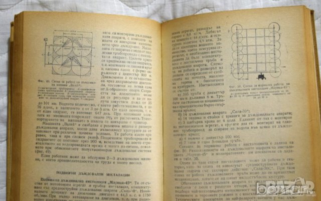 Справочник по зеленчукопроизводство Колектив, снимка 3 - Специализирана литература - 23433981