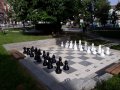 Градински шах, снимка 3