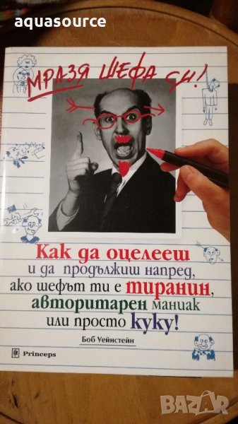 Мразя шефа си, снимка 1