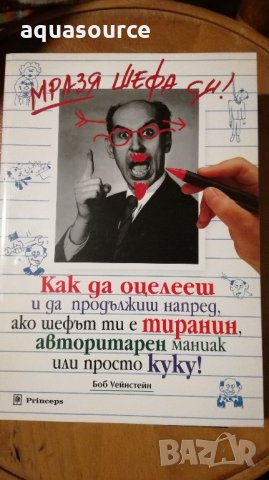 Мразя шефа си