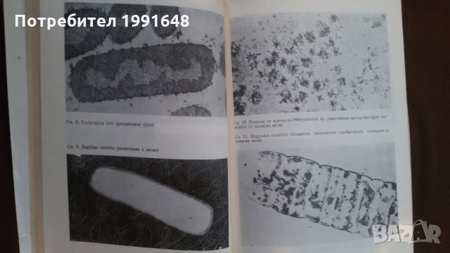 Книги за биология и медицина: „Милиарди микроби“ – автор Курт Е.Линднер, снимка 12 - Енциклопедии, справочници - 23429622