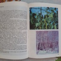 Албум за Растения и Животни - София 1976, снимка 7 - Художествена литература - 17111137