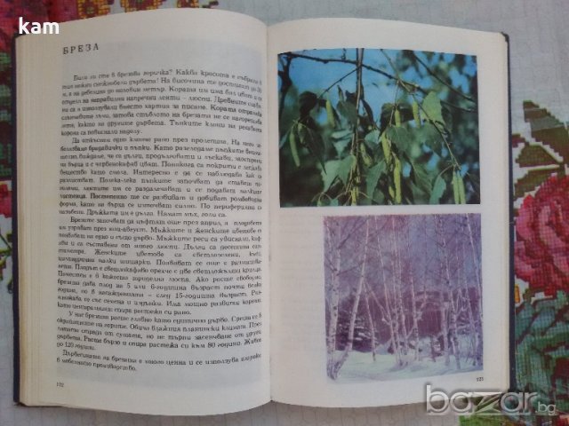 Албум за Растения и Животни - София 1976, снимка 7 - Художествена литература - 17111137