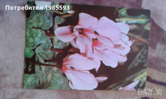 Ретро картички, снимка 9 - Колекции - 22963544