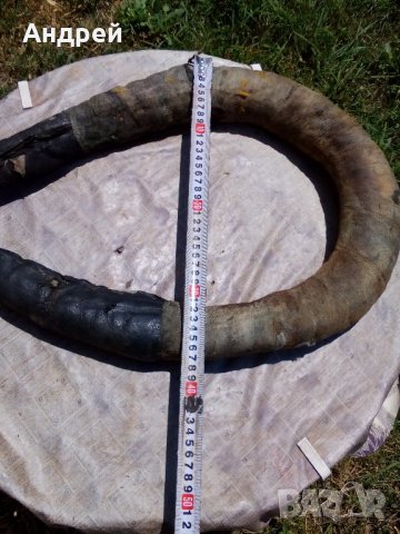 Хамут,оглавник, снимка 4 - Антикварни и старинни предмети - 21817947