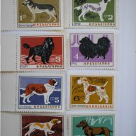 български пощенски марки - кучета 1964, снимка 1 - Филателия - 16051724