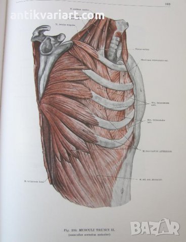 1971г. Медицинска Книга Анатомичен Атлас Том1-ви, снимка 14 - Други - 25936774