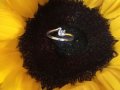 Сребърен пръстен модел R059, снимка 1 - Пръстени - 23041232
