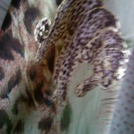 блуза леопарди - ликра , снимка 2 - Туники - 13889677