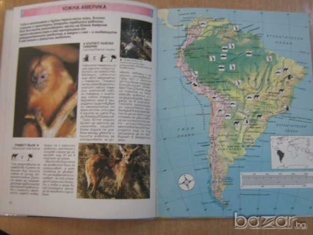 Книга "Атлас на застрашените животни-Стив Полък" - 64 стр., снимка 5 - Учебници, учебни тетрадки - 7988822