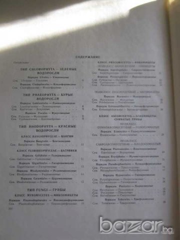 Книга "Ботанический атлас -Б.К.Шишкин" - 504 стр., снимка 4 - Учебници, учебни тетрадки - 7676453