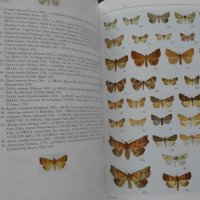 ПРОМОЦИЯ! - The Lepidoptera of Israel. Volume I: Erebidae  , снимка 6 - Специализирана литература - 21079007