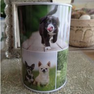 метална касичка с кученце, снимка 2 - Подаръци за рожден ден - 17798693