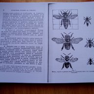 Легендарната "Пчела и Кошер" Л.Лангстротъ и Шарл Даданъ 1904 г. , снимка 2 - Специализирана литература - 12610683