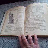 Книга Ботаника #2, снимка 5 - Специализирана литература - 24035252