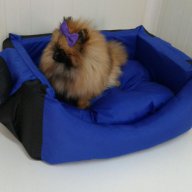 Легла и възглавнички за Вашите прекрасни домашни любимци - кучета и котки, снимка 8 - За кучета - 13605269