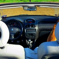Peugeot 206 CC 1,6 HDI Allure , снимка 5 - Автомобили и джипове - 12499383