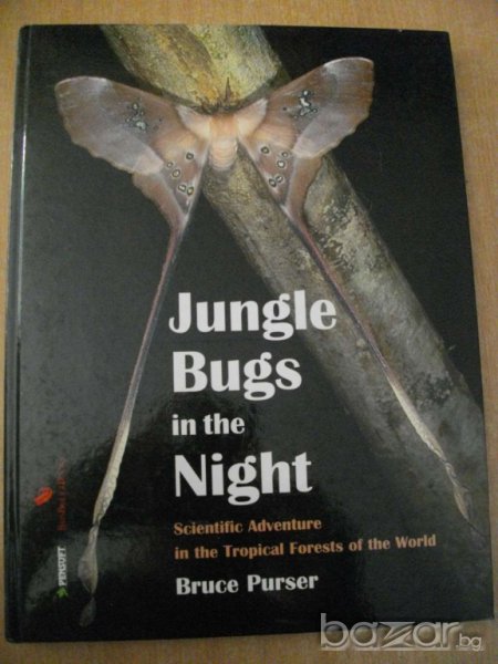 Книга ''Jungle Bugs in the Night'' - 168 стр., снимка 1