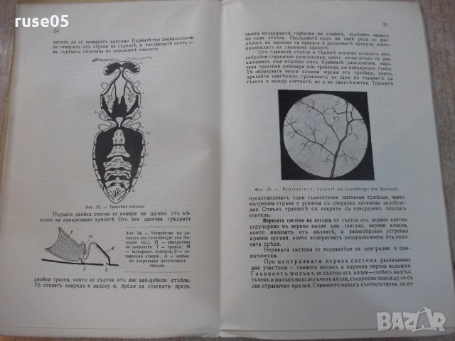 Книга "Пчеловъдство и болести по пчелитѣ-Ал.Тошковъ"-160стр., снимка 5 - Специализирана литература - 21784465