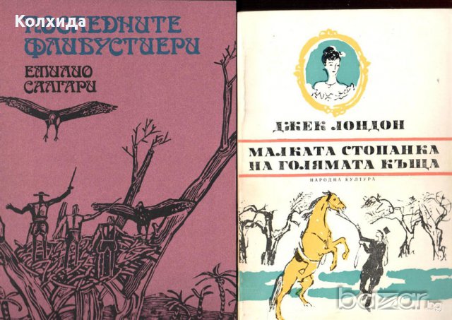 Кенилуърт, Пирати по Мисисипи,Един сокол лети, Ловецът на елени, Пиратът, Робин Худ и др., снимка 4 - Художествена литература - 11212498