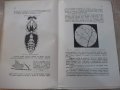 Книга "Пчеловъдство и болести по пчелитѣ-Ал.Тошковъ"-160стр., снимка 5