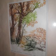Подписана картина"Стари дървета"-суха игла-1985година, снимка 3 - Други ценни предмети - 16531745