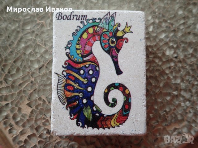 ^^ Колекция ^^ - вашите магнити, снимка 1