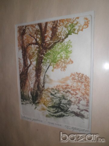 Подписана картина"Стари дървета"-суха игла-1985година, снимка 3 - Други ценни предмети - 16531745