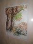 Подписана картина"Стари дървета"-суха игла-1985година, снимка 3