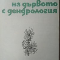Анатомия на дървото с дендрология. Венко Калинков 1969 г., снимка 2 - Специализирана литература - 26144363