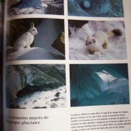 Албум за природното наследство на френски език, снимка 2 - Чуждоезиково обучение, речници - 7433095