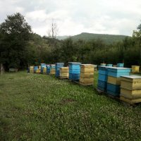 Пчелен мед от Балкана! Български пчелен мед "Горски букет", снимка 3 - Пчелни продукти - 22131468