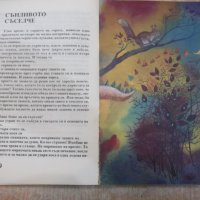 Книга "Кошница за пикник - том 1" - 96 стр., снимка 5 - Детски книжки - 25468921