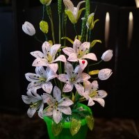 Цвете с мъниста, снимка 2 - Стайни растения - 25911696