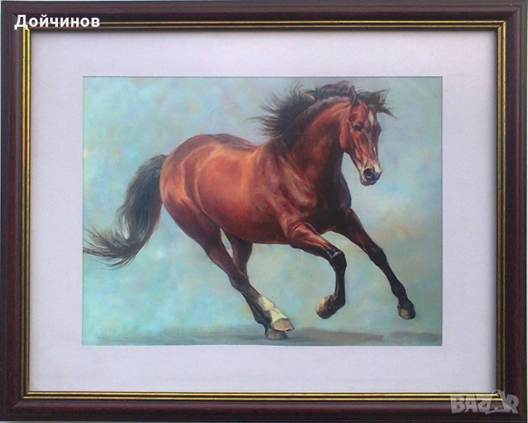 Арабски кон, картина, снимка 1