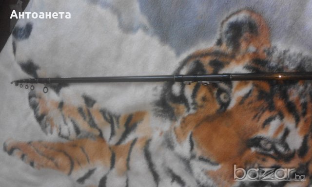 Въдици, снимка 6 - Въдици - 20178964