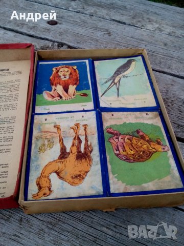 Стара детска игра Зоологическа Градина, снимка 4 - Антикварни и старинни предмети - 26088337