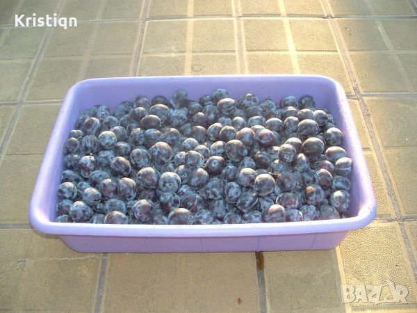 Сливи за алкохол на изключително ниски цени, снимка 3 - Други услуги - 22582977