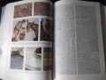 Книга "Кратка българска енциклопедия-том 3-Колектив"-668стр., снимка 5